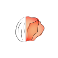 Logogramme transparent